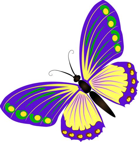 Butterflies‿ ⁀ Butterfly Clip Art Watercolor Cards Бабочки Картинки