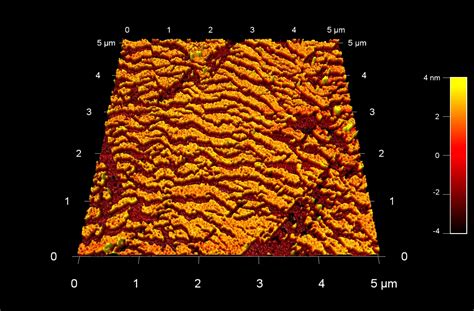 AFM Scan Image Gallery - NanoAndMore