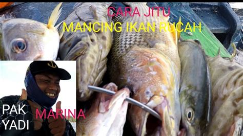 Mancing Ikan Rucah Bareng Bimo Angler Semarang Pantai Marina Youtube