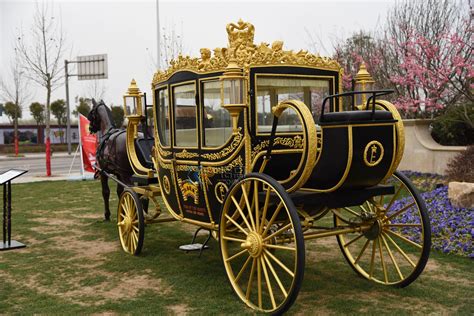 Luxury Four Wheels Special Transportation Sightseeing Royal Horse ...