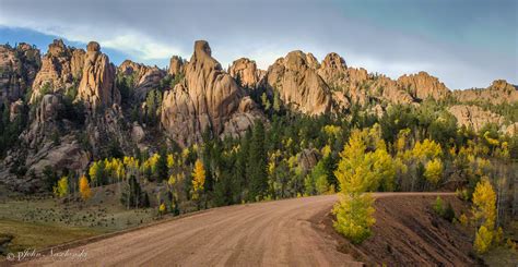 Photos of Colorado Fall Colors in Pike National Forest