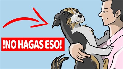 15 Cosas Que Tu Perro Odia De Ti YouTube