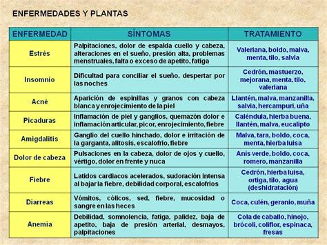 Biología Didáctica Plantas Medicinales 2° Año