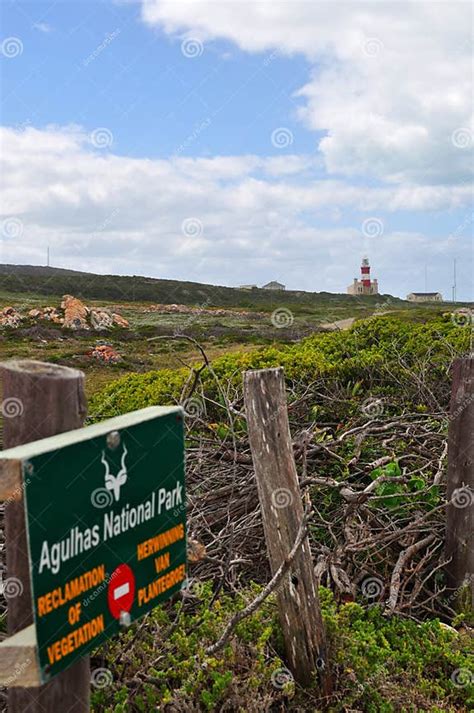 South Africa Western Cape Cape Agulhas Sign Lighthouse Nature