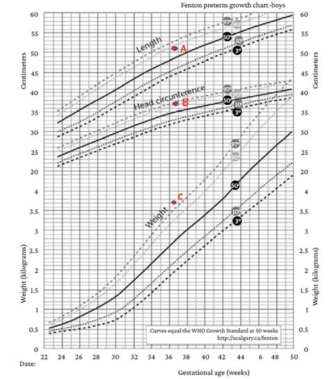 Fenton Preterm Growth Charts 2003 A Length In Centimeters Between The 50th And 90th