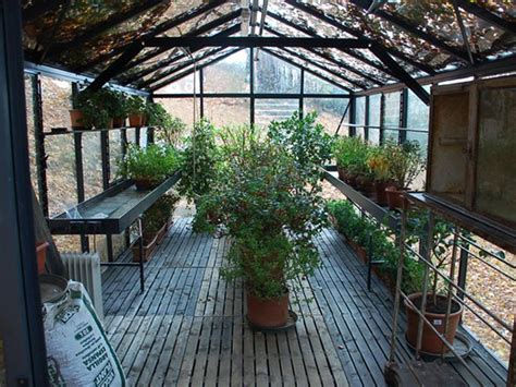 Janssens Royal Victorian VI36 Greenhouse 10ft X 20ft