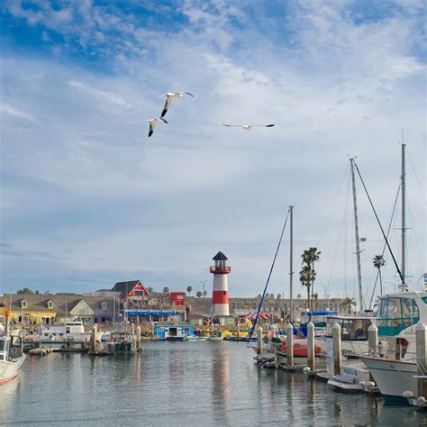 Frankie Foto » Oceanside Harbor