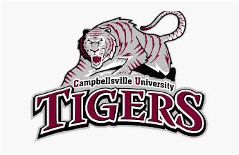 Transparent Tigers Clipart - Campbellsville University Football Logo, HD Png Download - kindpng