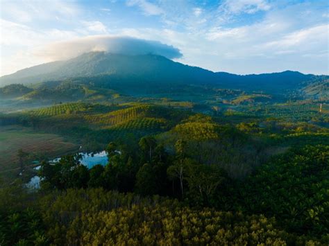 Liburan Bersama DANASTRA Di 4 Kawasan Wisata Alam Milik Jawa Barat Ini