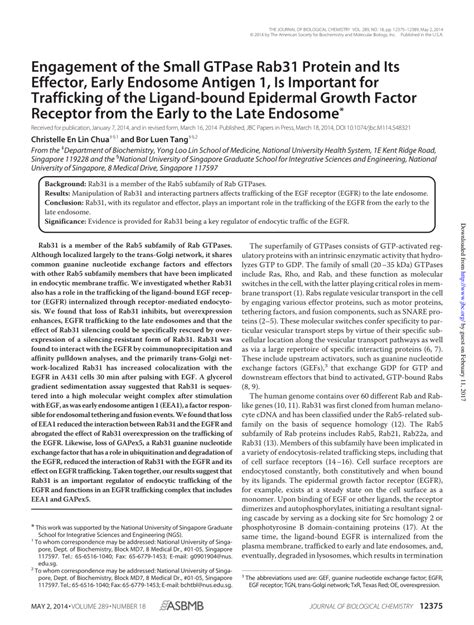 PDF Engagement Of The Small GTPase Rab31 Protein And Its Effector