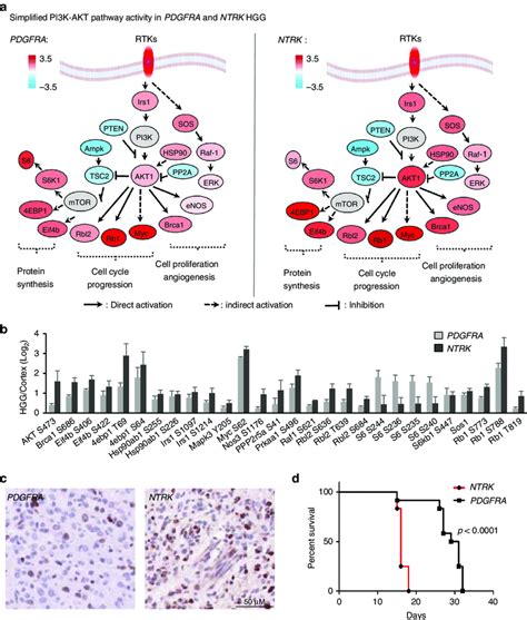 Ntrk Fusion Is A Stronger Oncogenic Driver Than Pdgfra Mutation In