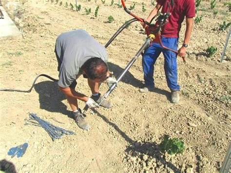 debajo Las bacterias zona alambre para emparrado de viñas Onza De