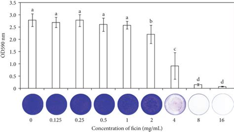 Crystal Violet Staining Of S Mutans Biofilm Data Are Presented As Download Scientific Diagram