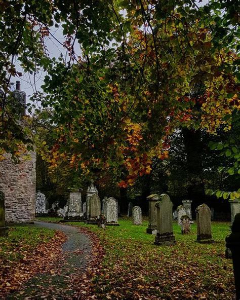 🕸𝕸𝖗𝖘 𝖁𝖔𝖓 𝕱𝖗𝖆𝖓𝖐𝖊𝖓𝖘𝖙𝖊𝖎𝖓🕸 on Instagram: "😍🍂 . . . #kirkyard #kirk # ...