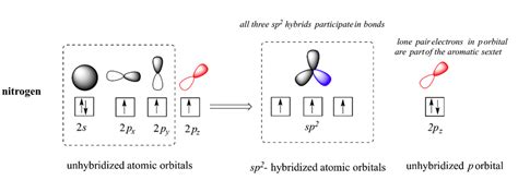 117 Heterocyclic Amines Chemistry Libretexts