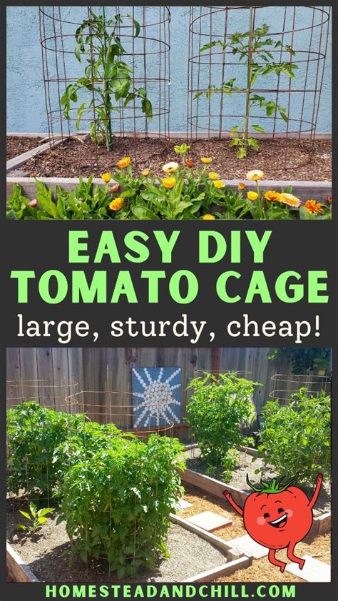 How To Make A Diy Tomato Cage Sturdy Easy And Cheap In 2024 Tomato Cages Urban Garden