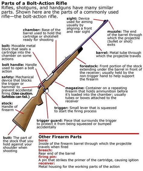 Diagram Showing Parts Of A Bolt Action Rifle South Carolina Hunter