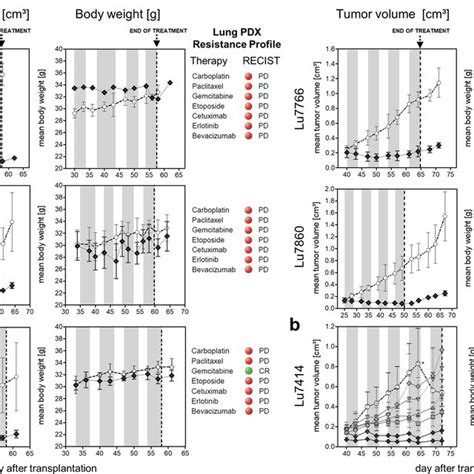 Simplified Model Of The Chosen Combination Therapy Regimen Overcoming