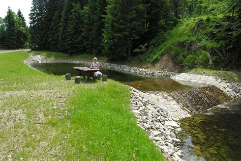 Okolice Chaty Cyborga W Bielicach