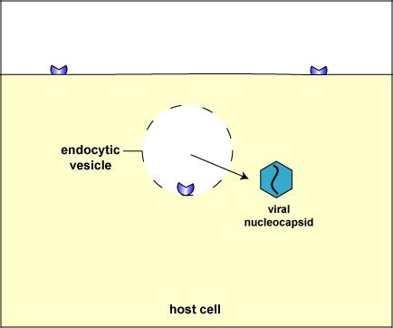 Safe Mode Virus Removal Hot Sex Picture