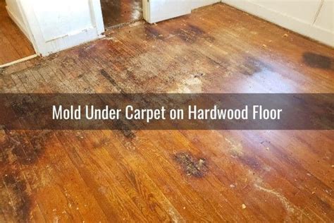 How To Re Hardwood Floors After Removing Carpet Ready Diy