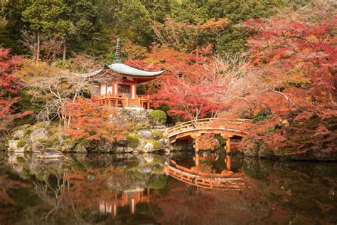 Japan Autumn Photography Tour | 8 - 20 November 2026