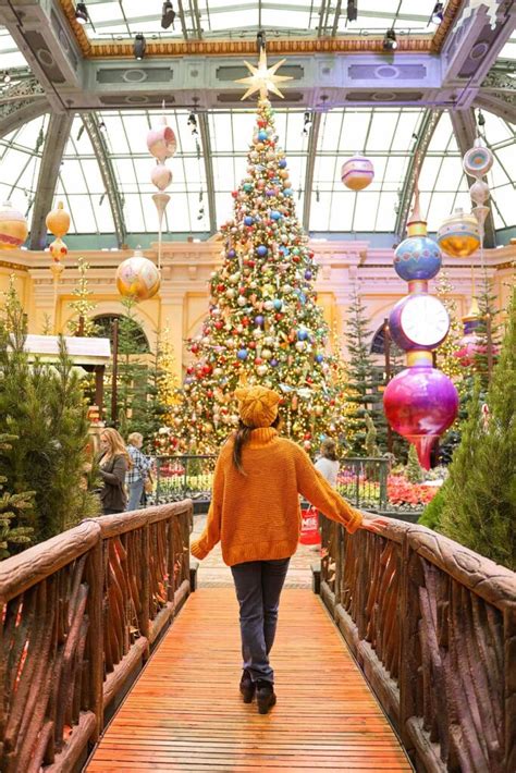 Christmas at Bellagio Botanical Gardens >> Local Adventurer