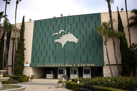 Horse Euthanized After Racing Injury at Los Alamitos - MyNewsLA.com