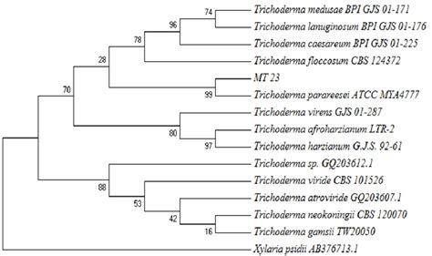 Figure 1 From Evaluation Of Antimicrobial Activity And Identification