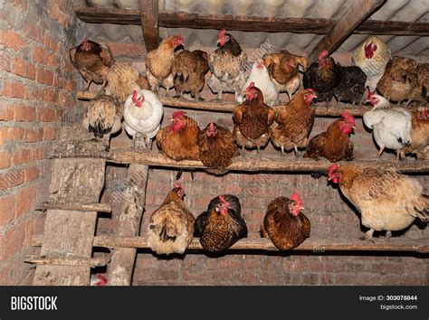 Old Red Hen House Barn