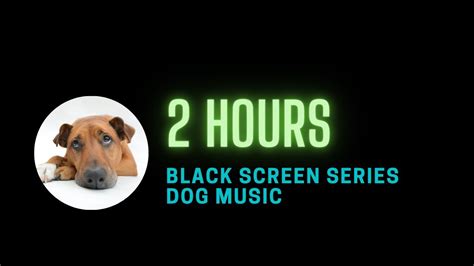 New 2 Hours Relaxing Dog Sleep Music With Sounds For Dogs Black