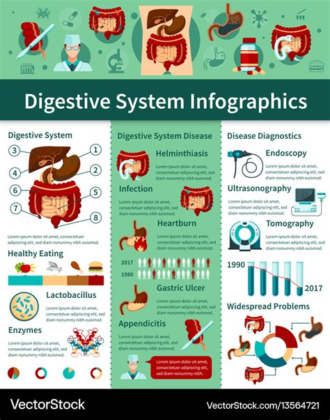 Urinary System Diseases Infographics To Understand By