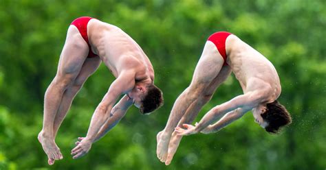 Österreichischer Schwimmverband WM Limit für Hart und Schaller