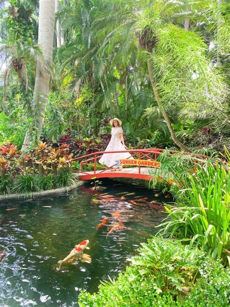 Tips For Visiting The St. Pete Sunken Gardens - Florida Trippers