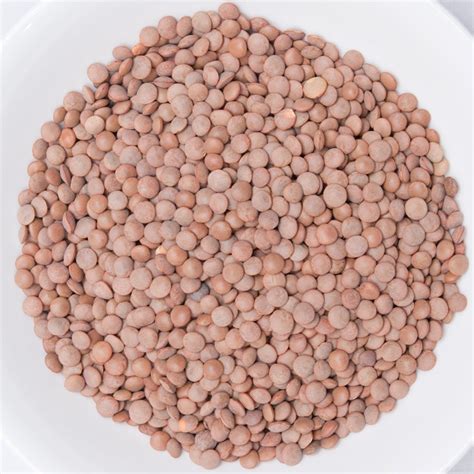 Kg Whole Masoor Dal Packaging Pp Bag At Rs Kg In Indore Id