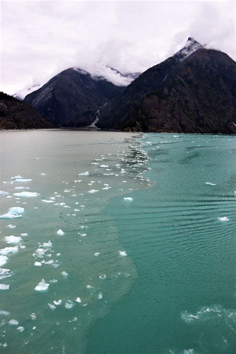 Disney cruise to Alaska - Dawes Glacier - Disney in your Day