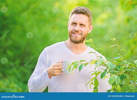 Green Tea Contains Bioactive Compounds that Improve Health. Natural ...