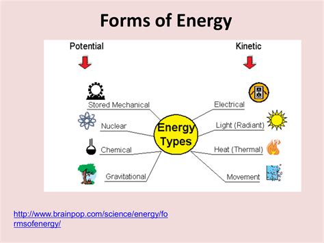 10 Types Of Energy