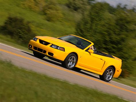 Cobra Convertible Ford Mustang Photo Gallery Shnack