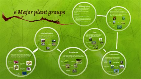 6 Major plant groups by Leo Hua on Prezi