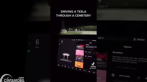 Banyak Bukti Video Fitur Mobil Tesla Disebut Bisa Lihat Makhluk