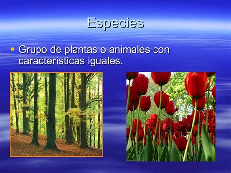 Los Seres Vivos En Los Ecosistemas Ppt