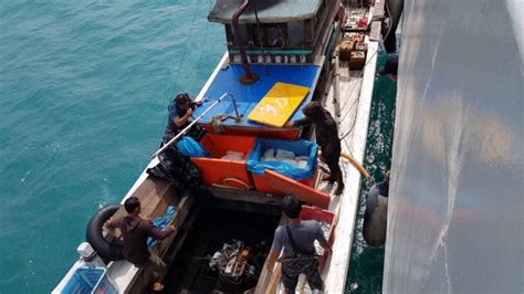 Pakai Trawl Dan Tak Berdokumen Nelayan Di Bangka Belitung Ditangkap