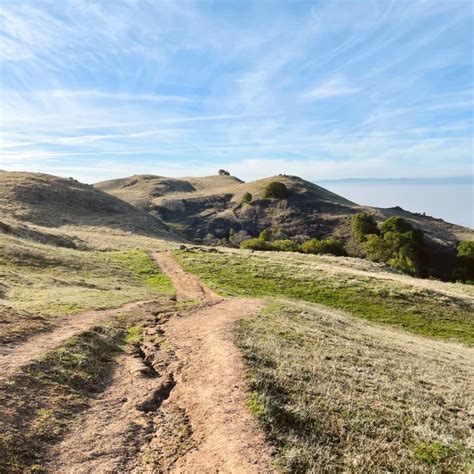 Hike Mission Peak Trail The Ultimate Guide From A Local Carrie