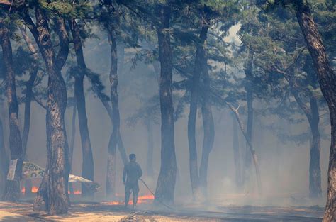 South Korea wildfire forces 500 residents to evacuate, rain helps fight ...