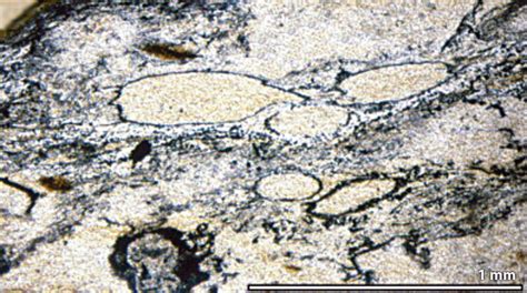 Two Billion Year Old Fossils Point To Early Terrestrial Life