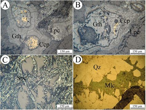 Photomicrographs Aac Reflected Light D Plane Polarized Transmitted