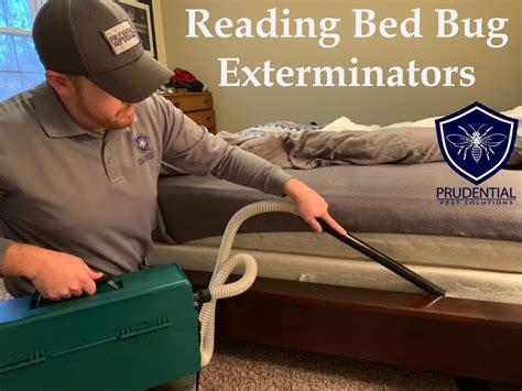 Bed Bug Treatment Reading Pa Prudential Pest Solutions