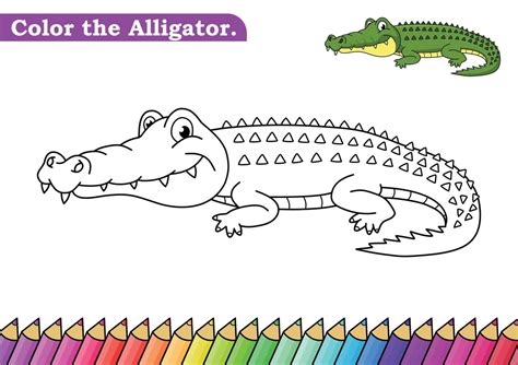 Alligator Outline Vector Art, Icons, and Graphics for Free Download