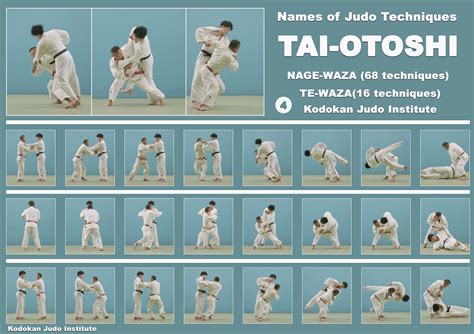 Poster Judo Throw Front Footrest Tai Otoshi Format A2 420 594 Mm